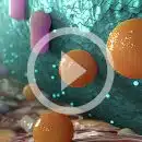 Video Image